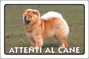 cartello ATTENTI AL CANE