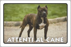cartello ATTENTI AL CANE
