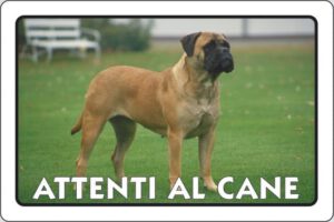 cartello ATTENTI AL CANE