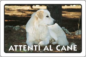 cartello ATTENTI AL CANE
