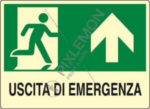 cartello USCITA DI EMERGENZA (in alto)