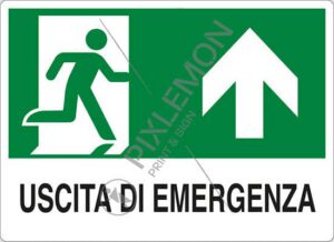 cartello USCITA DI EMERGENZA (in alto)