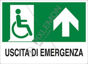 cartello USCITA DI EMERGENZA (disabili in alto)