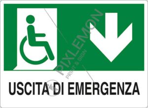 cartello USCITA DI EMERGENZA (disabili in basso)