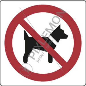 cartello (vietato l'accesso ai cani - no dogs)