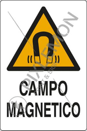 cartello CAMPO MAGNETICO