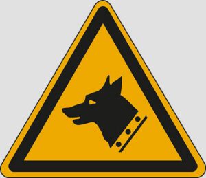 cartello (warning: guard dog)